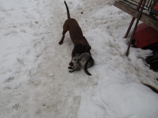 Fara Jelení cesta v deseti měsících