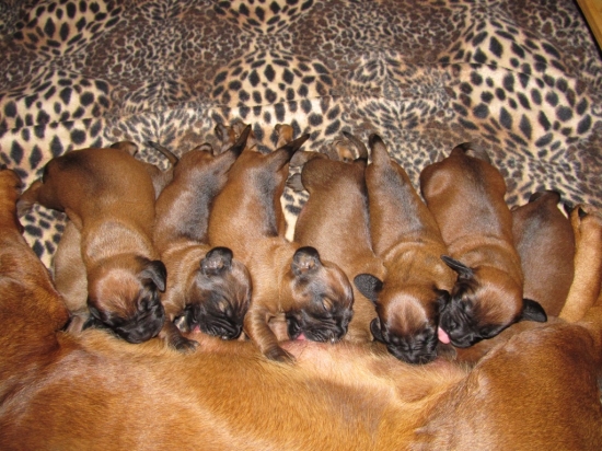 Tak si tak rosteme...