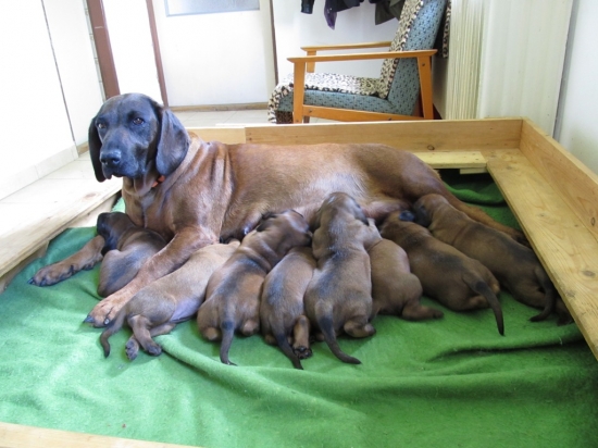 Zítra máme 3 týdny