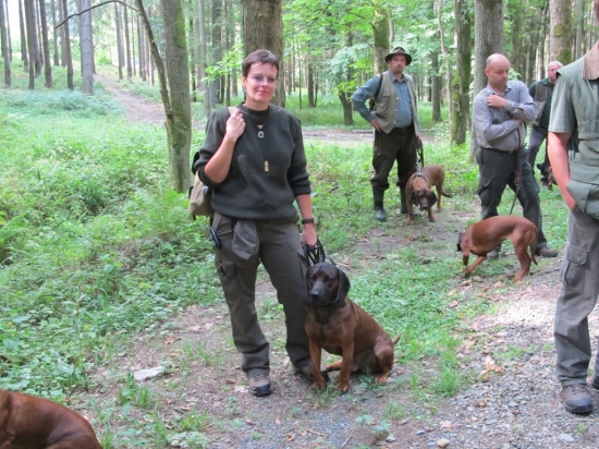 Výcvikový den barvářů