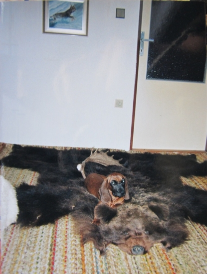 Věnováno památce Laury Vatrová