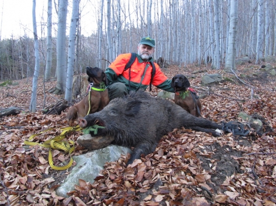 Zase to dopadlo dobře