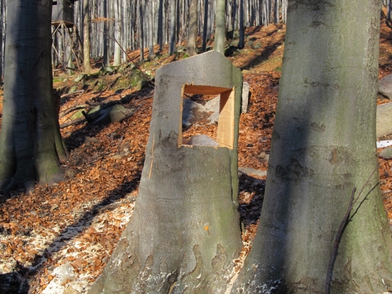 Slanisko - tak to děláme u nás