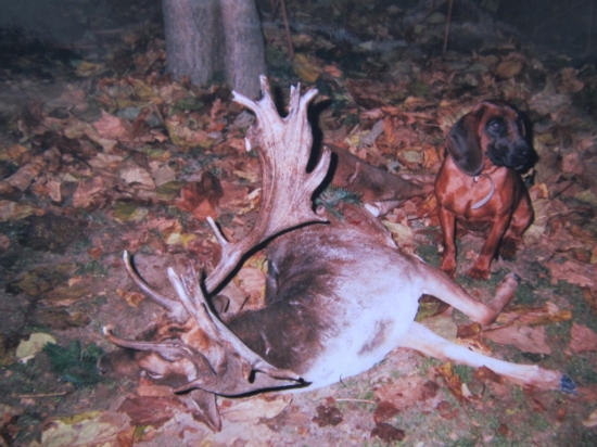 Jeden z dřívějších