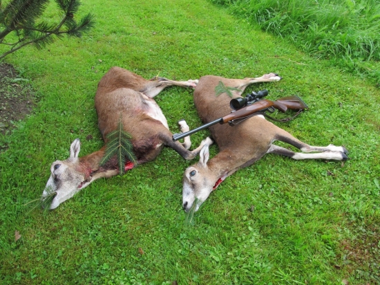 Tak už jsem začal...