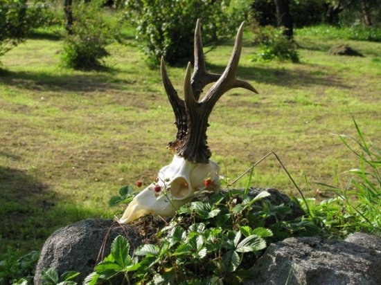 Jeden z dřívějších