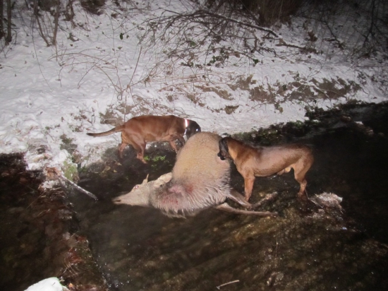 Gero Jelení cesta spolu s Erikou