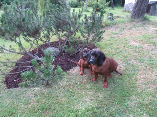 Jen tak pro radost...