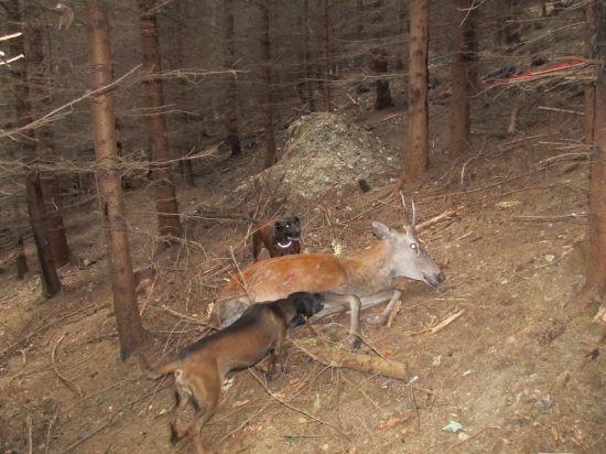 A tak se tak bavíme o víkendu...