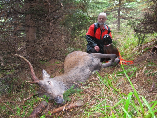 Tak se tak o víkendu bavíme...