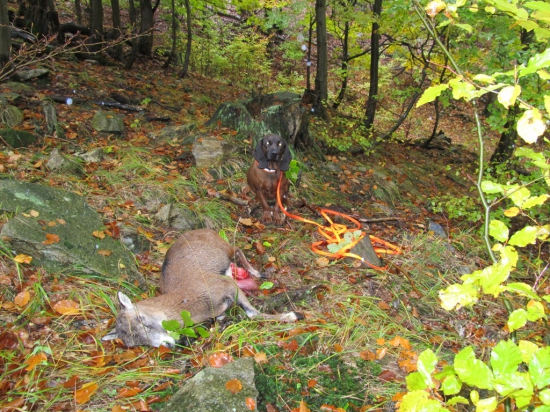 Dnešní upršené poledne