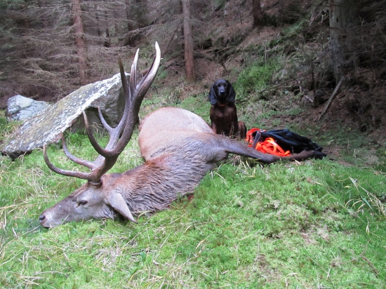 Ještě jedna dokumentačná