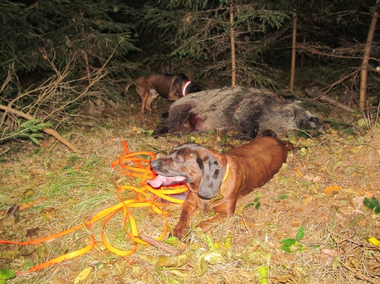 Dnes po dostřelení...