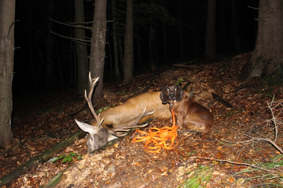 Takhle jsme ho našli...
