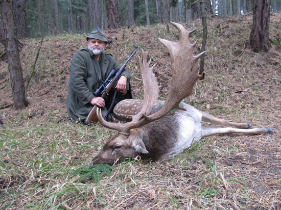 Říjen, čas daňků...