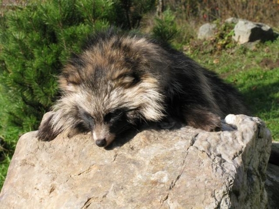 Kamarádův včerejší
