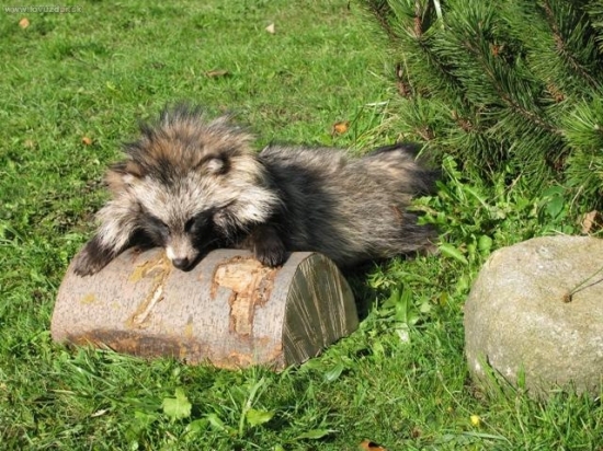 Kamarádův včerejší