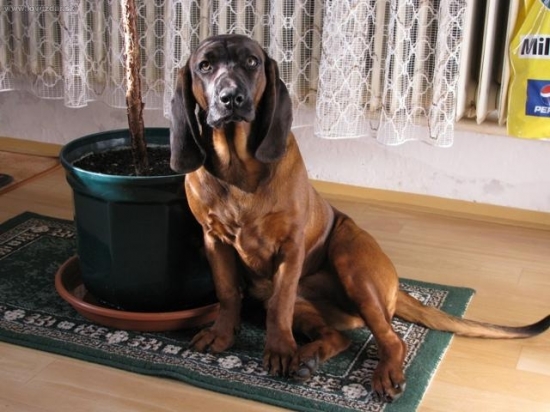 Erika Jelení cesta v 6 měsících