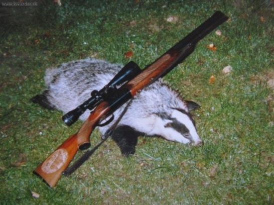 Listopadový