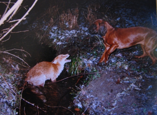 Laura Vatrová za mlada