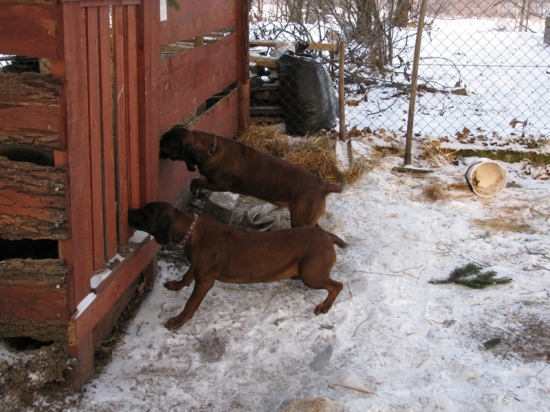 Cea Vatrová a Erika Jelení cesta