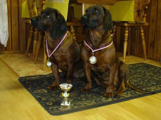 Erika Jelení cesta a Cea Vatrová