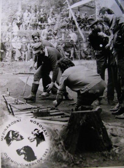 Když jsem ještě noroval