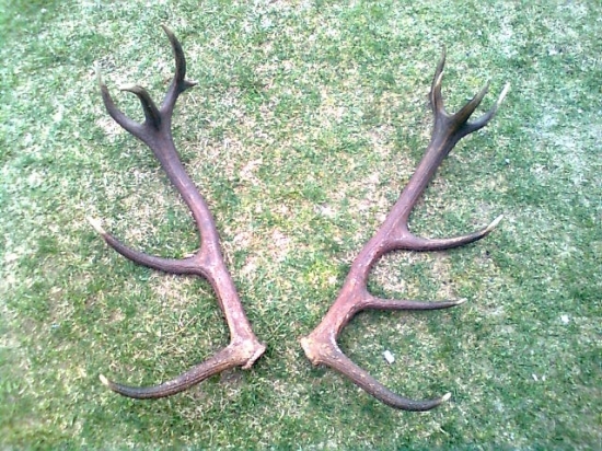 ked sa kamarati stretnu