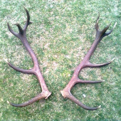 ked sa kamarati stretnu