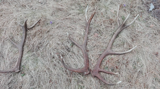 Zadarilo sa s kamarátom