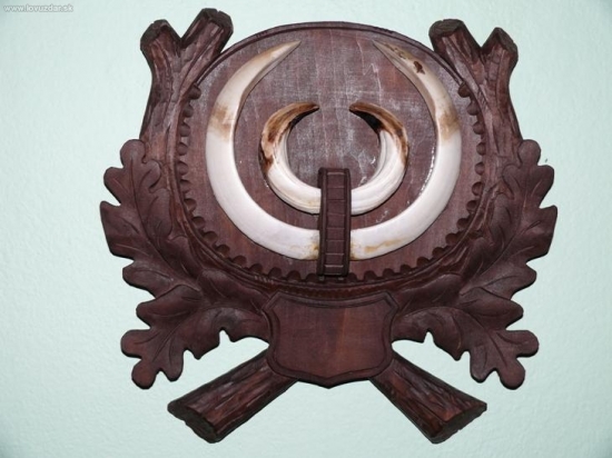 Kňour Krušné Hory 29.12.08