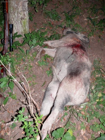 úplňkový lončák