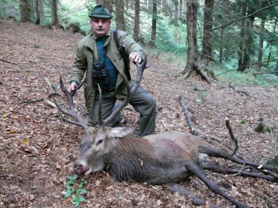 Štastný lovec prvního jelena, 8mi letý přitroubený desaterák
