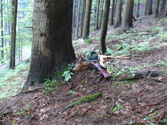 šesterák 5let připískaný 13.8.