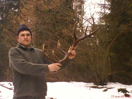 Moj v roku 2009