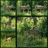 prvý prieskum okolia