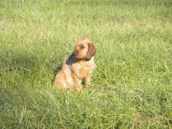 odloženie na voľno