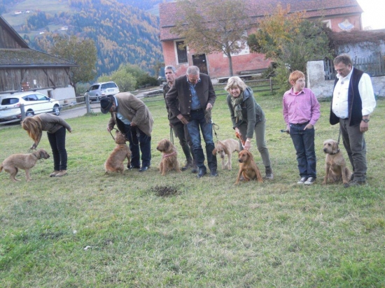 pre milovníkov štajerákov!