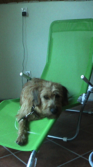 odpočinok po welnese