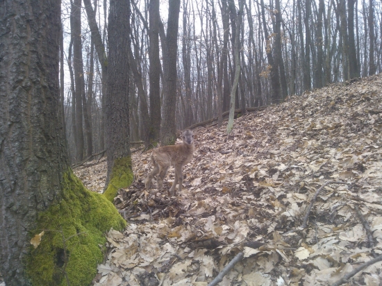 malá dáma :)