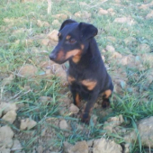 moj krasny!