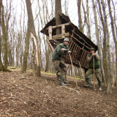 Čistenie krmelca