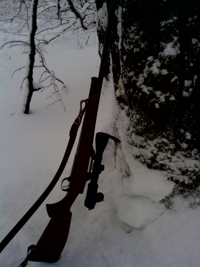 CZ 550 ebony edition