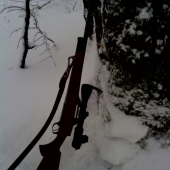 CZ 550 ebony edition