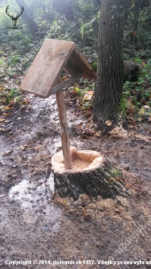 Solisko