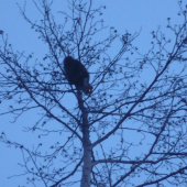 Čo to podla vas je???