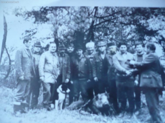 Moj pradedko a diviak