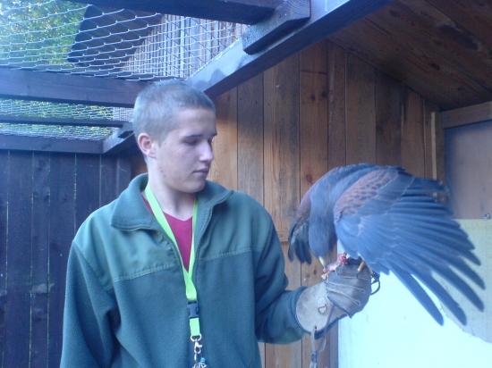 Ja pri krmeni Síria