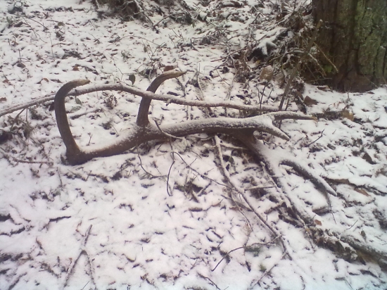 Tak konečne prvý, tohoročný