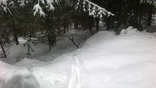 Prvý v sezóne 2013